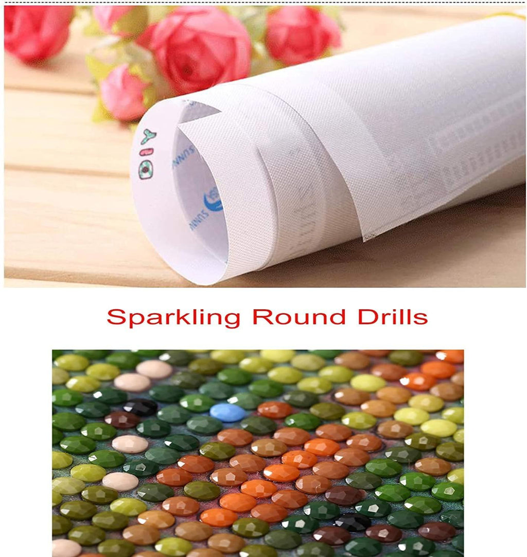 Diamond Painting Kits for Adults,5D DIY Hummingbird Diamond Art Kits Round Full Drill Gem Art and Crafts for Home Wall Decor Gift 12 X16 Inch