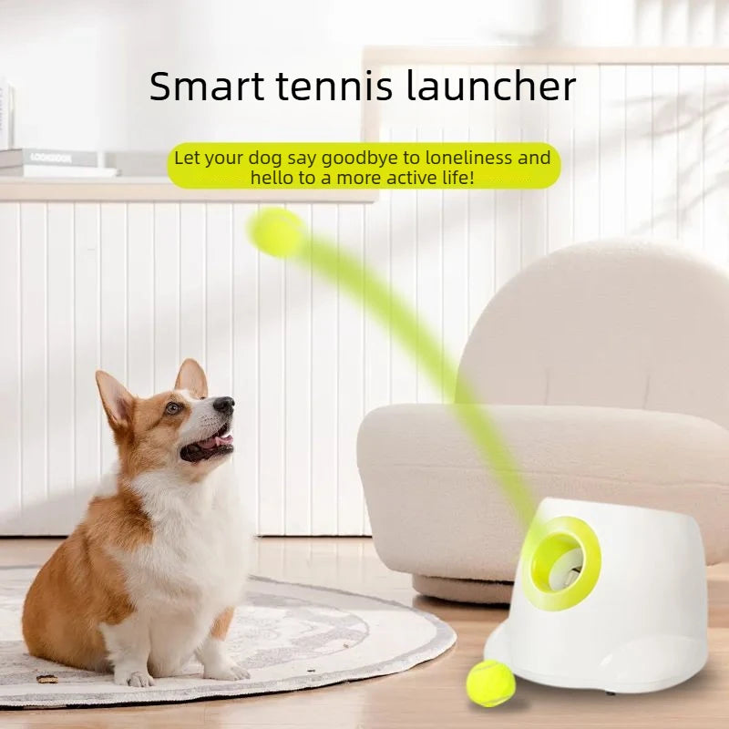 Automatic Dog Ball Launcher, Toy, Tennis Ball Machine, Ball Dispenser, Pet Interactive Launcher