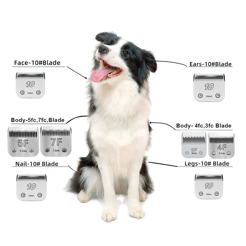 Dog Clipper Blades - A5 Compatible Professional