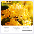 A71Z Intelligent App Aromatherapy Machine Humidifier Bedroom Fresh Air Toilet Deodorization Fragrance and Fragrance Room