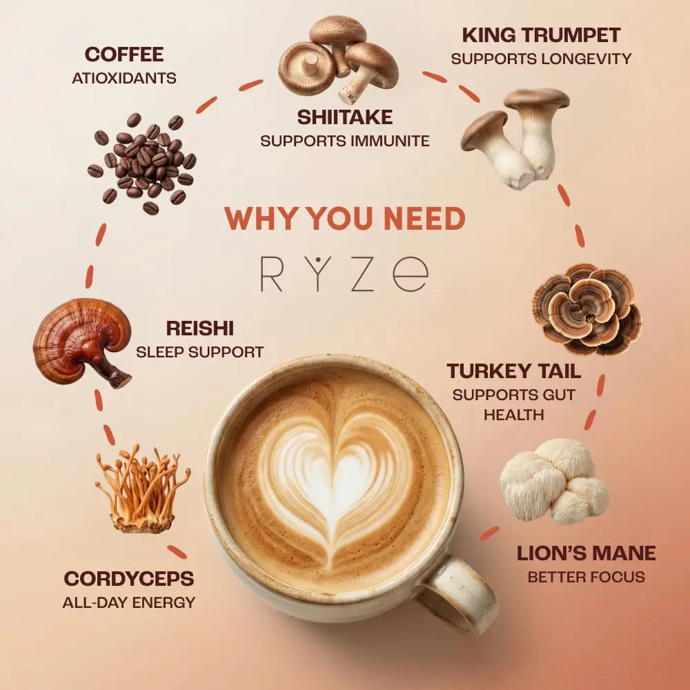 Organic Mushroom Coffee Powder with 6 Adaptogenic Mushroom Daily Instant Coffee for Better Energy Focus Digestion Immunity