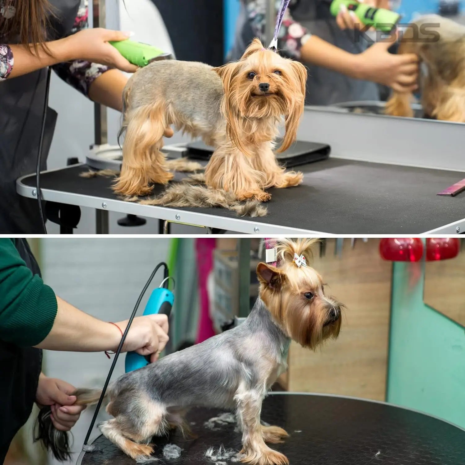 Dog Clipper Blades - A5 Compatible Professional