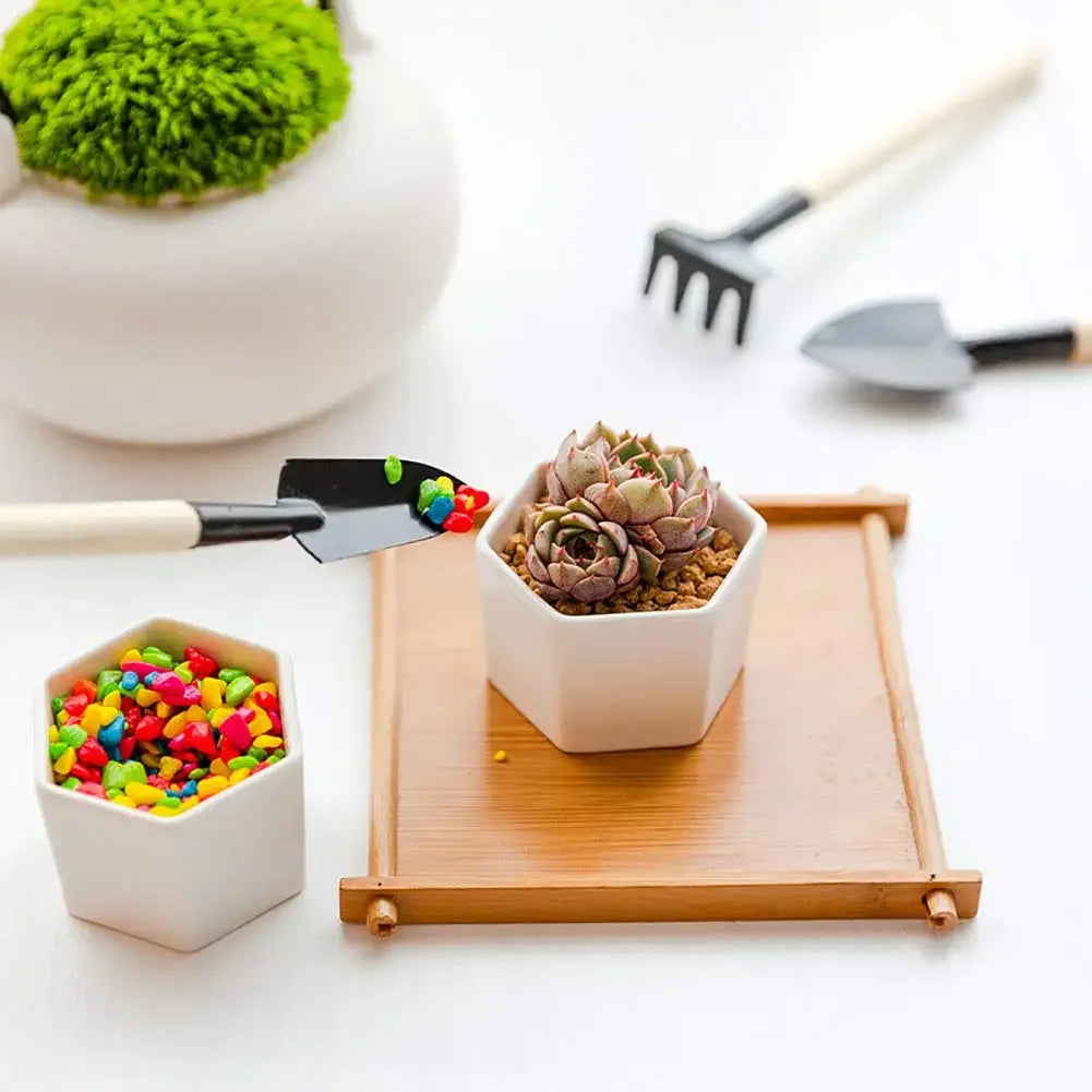 Gardening Tools Three-Piece Set Mini Garden Tools Multi-Function Shovel Harrow Shovel Household Plant Pine Soil Shovel