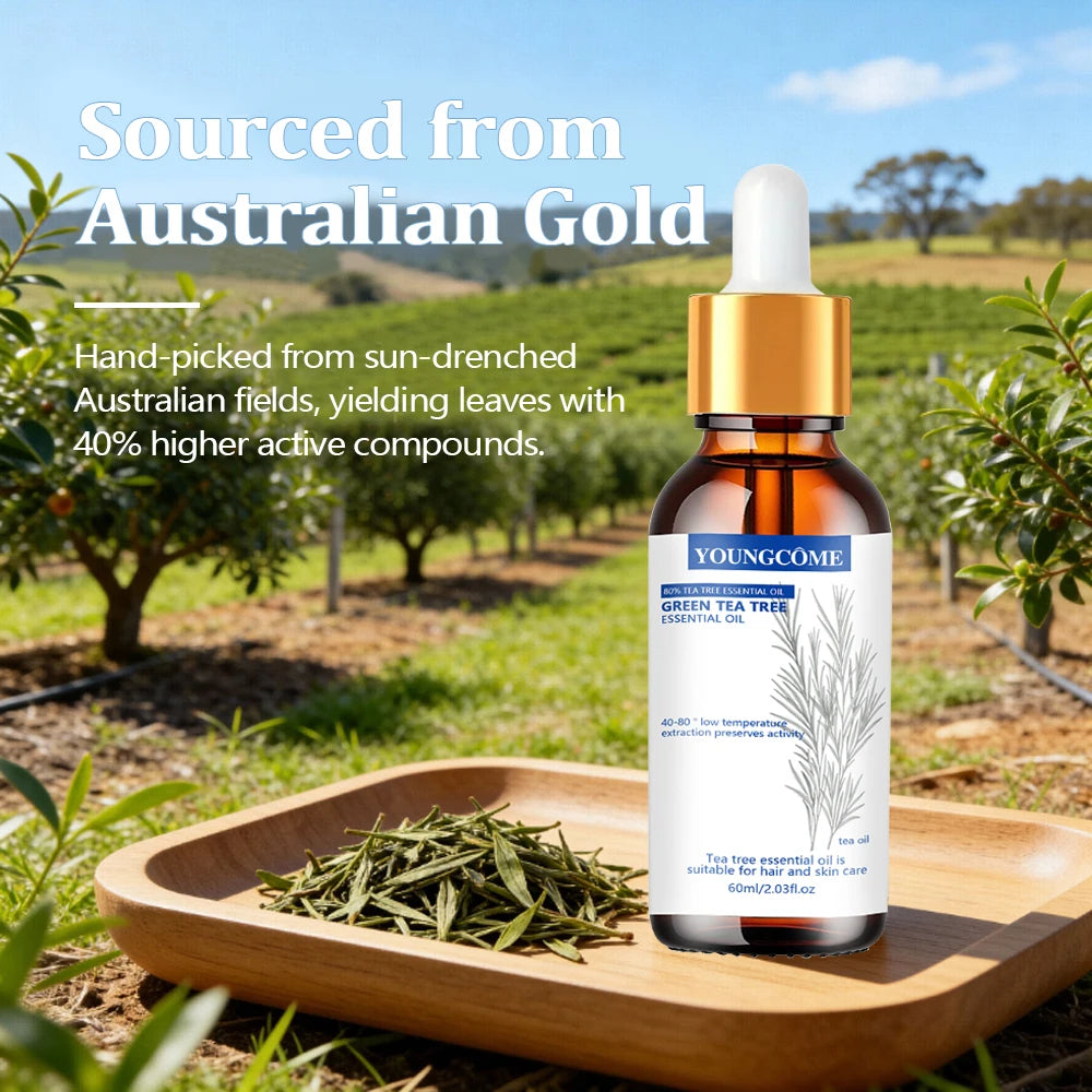 Tea Tree Essential Oil , Nature for Aromatherapy, Diffuser, Humidifier,  Woody, Relieving Stress，Massage Muscle