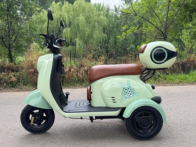 Y3-V1 High Power 60v 50km/h Electric Tricycles Eco-friendly New Model 800W Electric Tricycle with Battery for Adults